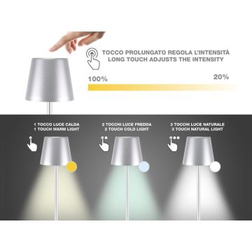 Επιτραπέζιο Επαναφορτιζόμενο Φωτιστικό LED σε ασημί χρώμα Beper P201UTP117 - 