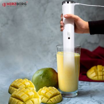 Herzberg HG-5041 Ραβδομπλέντερ Χειρός 300W - 