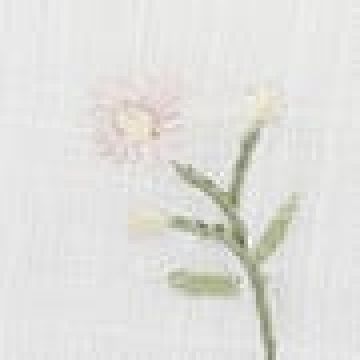 Σετ 4 τεμ Πετσέτες Φαγητού Herbal Σχ. 148 Bo Maison 42x42cm Ροζ - 