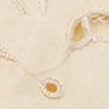 Σετ Πετσέτες Φαγητού 4 τεμ Κοφτό Κέντημα Bo Maison 42x42cm Εκρού - 