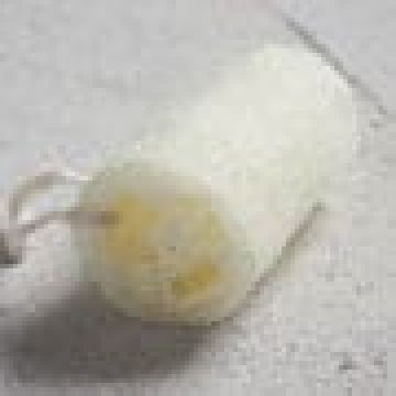Φυσική Κυλινδρική Loofah με Κορδόνι Pennie Professional - 