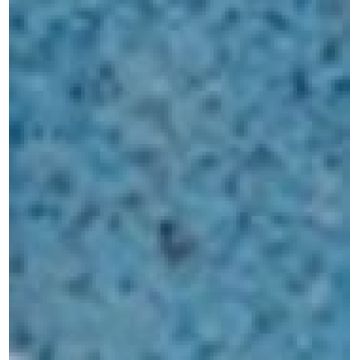 One Size (6x3.5cm) - Μπλε [MODEL PNN-004790.700296] [EAN 3900561712345]