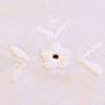 Βαμβακερή Λευκή Πετσέτα Φαγητού με Κέντημα 40x40cm 40x40cm Άσπρο - 