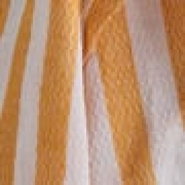 Παρεό | 90x170cm - Κίτρινο [MODEL PNN-016636.702767]