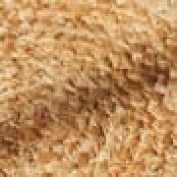 Διάμετρος 35cm - Μπεζ [MODEL PNN-004724.700207] [EAN 0517570112345]