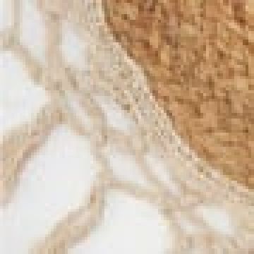 Διάμετρος 35cm - Natural [MODEL PNN-007327.700991]