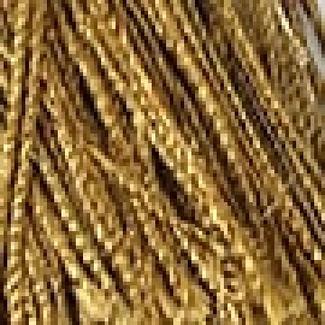 One Size (8x2cm) - Χρυσό [MODEL PNN-003518.702876]