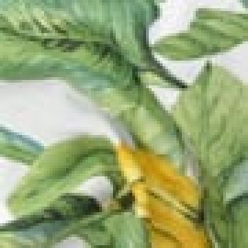 Διακοσμητική Μαξιλαροθήκη Green Leaves 40x40cm 40x40cm - 