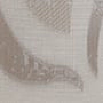 40x40cm - Γκρι [MODEL PNN-003239.698312] [EAN 2116000312345]