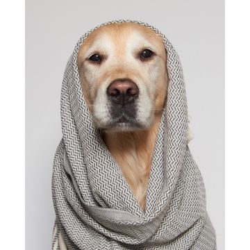 Βαμβακερή Chevron Πετσέτα Παρεό με Κρόσσια Elis 90x160cm Παρεό | 90x160cm - 