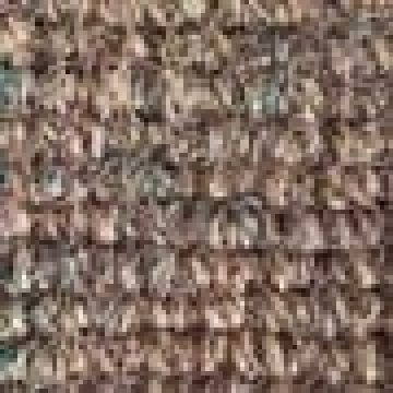 Πατάκι Ποδόμακτρο Εισόδου από Κοκοφοίνικα Σχέδιο Καρότα 40x70cm 40x70cm Καφέ - 