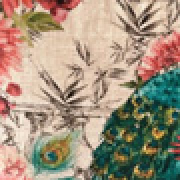 Αδιάβροχη Μαξιλαροθήκη Digital Print Σχέδιο Παγώνι Alimia 50x50cm 50x50cm Multi - 