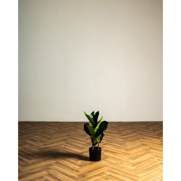 Φίκος Φυτό Τεχνητό Plant 50cm.  Πράσινο Φίκος Φυτό Τεχνητό Plant 50cm.  Πράσινο