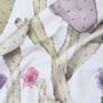 4 ατόμων (155x155cm) [MODEL PNN-003748.701610] [EAN 3400850112345]