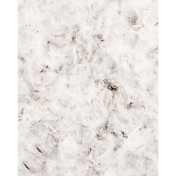 Μονή (160x240cm) - Άσπρο [MODEL PNN-003193.698267] [EAN 6003000112345]