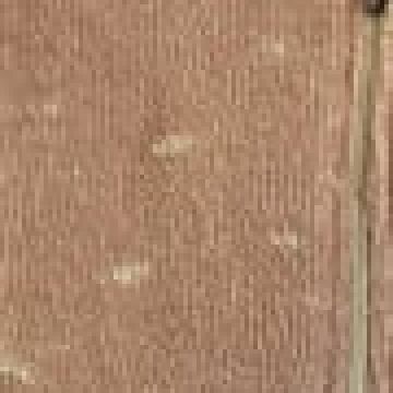 One Size (45x50cm) - Σομόν [MODEL PNN-004029.699154] [EAN 8010536112345]