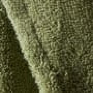 Small - Πράσινο [MODEL PNN-006299.700622]