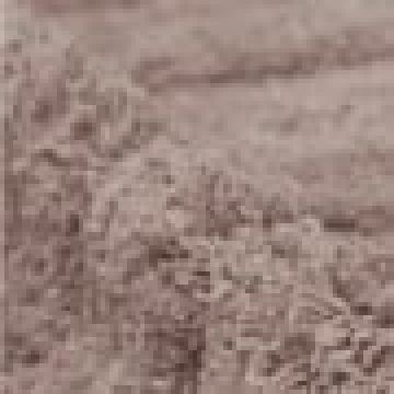 50x70cm - Μπεζ [MODEL PNN-007557.702163]