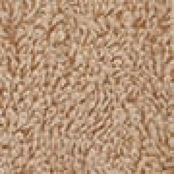 Sunbed | 80x200cm - Μπεζ [MODEL PNN-003223.702288] [EAN 8007590612345]