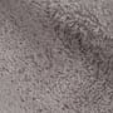 Sunbed | 90x200cm - Γκρι - Μπεζ [MODEL PNN-005184.702594]