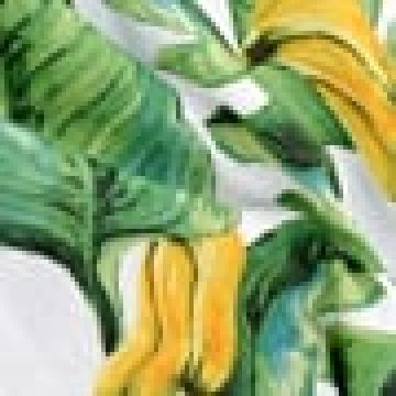 8 ατόμων | 130x250cm [MODEL PNN-004074.699228]