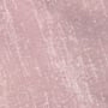 40x40cm - Σάπιο Μήλο [MODEL PNN-004041.699205] [EAN 0600574712345]