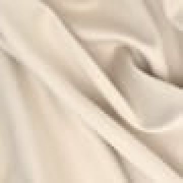 Στενό Φύλλο - Μπεζ [MODEL PNN-004165.699323] [EAN 1312360612345]