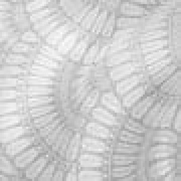 Τραβέρσα με Γεωμετρικό Σχέδιο Napoli 45x172cm Τραβέρσα (45x172cm) Γκρι - 