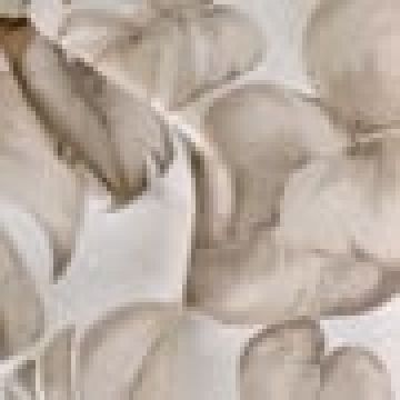 6 ατόμων (140x180cn) [MODEL PNN-004080.699246] [EAN 1908670112345]