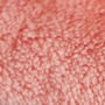 Χειρός | 30x50cm - Ροζ [MODEL PNN-004756.700265] [EAN 0918573112345]