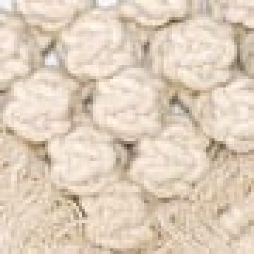 80x80cm - Μπεζ [MODEL PNN-004676.700113] [EAN 0516960612345]