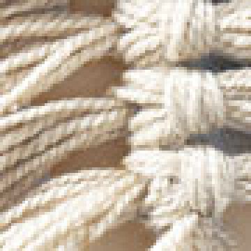 One Size (10x10x7cm) - Εκρού [MODEL PNN-007726.703198]