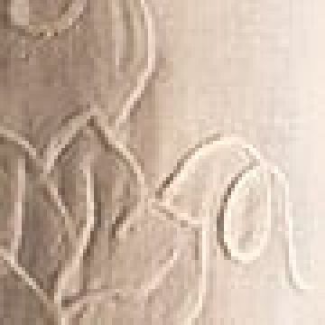 Θήκη μπουκαλιού Miniature 15 με κέντημα αμπελιού One Size Άσπρο - 