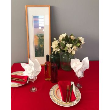 12 ατόμων (150x280cm) - Κόκκινο [MODEL PNN-006260.702437] [EAN 2021010512345]