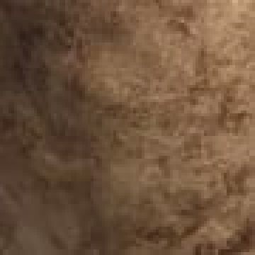 Μονόχρωμη Suede Μπουκαλοθήκη Mars 22x40cm One Size (22x40cm) Καφέ - 