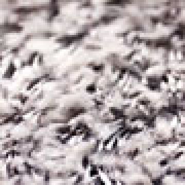 Ασημί [MODEL PNN-016999.703038]