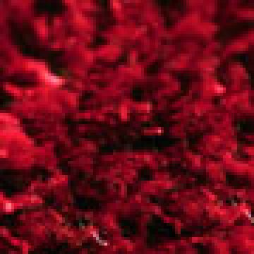 Μπορντώ [MODEL PNN-016999.703044]