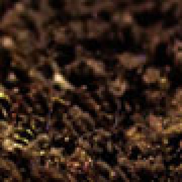 Καφέ Σκούρο [MODEL PNN-016999.703046]