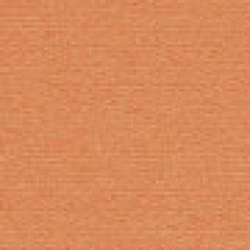 Κοραλί [MODEL PNN-016998.703027]