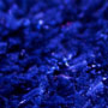 Μπλε Σκούρο [MODEL PNN-016999.703041]