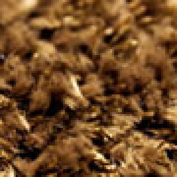 Καφέ [MODEL PNN-016999.703037]