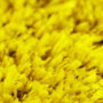 Κίτρινο [MODEL PNN-016999.703043]