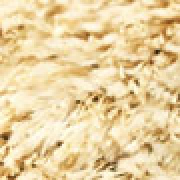 Κρεμ [MODEL PNN-016999.703047]