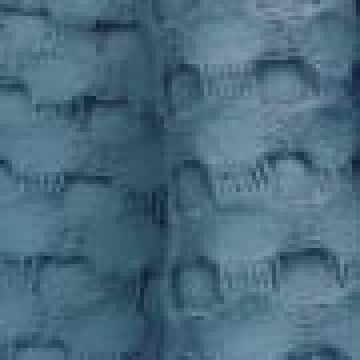 Βαμβακερό Πικέ Ποτηρόπανο Raul 48x60cm One Size (48x60cm) Μπλε Raf - 