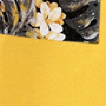 Κίτρινη Ποδιά Μπούστο με Εμπριμέ Τσέπη Panama Μπούστο (66x96cm) - 