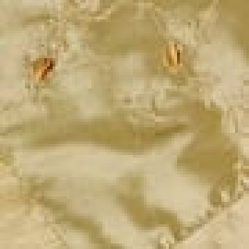 Διακοσμητικό Πετσετάκι Ζακάρ με Κέντημα 40x40cm 40x40cm Σαμπανί - 