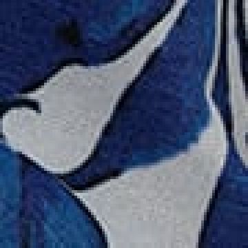 2 ατόμων - Μπλε Σκούρο [MODEL PNN-013170.701559] [EAN 0119450112345]