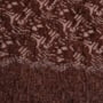 Τραβέρσα (45x179cm) - Καφέ [MODEL PNN-003810.698923] [EAN 1510610912345]