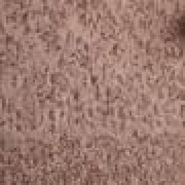 Τραβέρσα (45x179cm) - Σοκολά [MODEL PNN-003810.698922] [EAN 1510610712345]