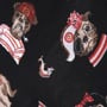 Ύφασμα Λονέτα Woof Φ280cm Multi - 